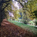 Weg an der Rotach im Herbst