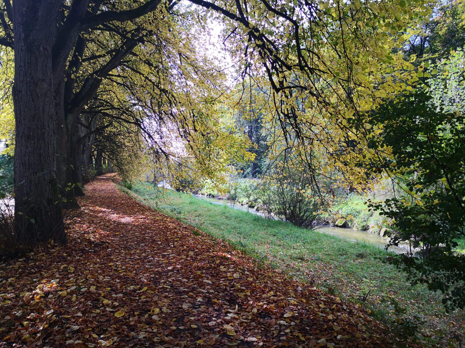 Weg an der Rotach im Herbst